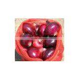 Fresh (RED ,Yellow , White ) ONION thumbnail-2