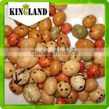 Coated Peanut Processing thumbnail-2