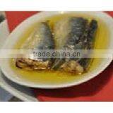 Mediterranean Canned Sardines in Vegetable Oil With Spicy Sauce , High Quality Sardines,Sardines in Cans With Spicy Sauce 125g thumbnail-5