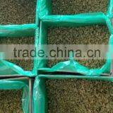 Sweet Green Raisin thumbnail-3