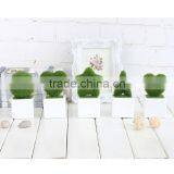 Artificial Potted Pot Fake Plant Hairy Cute Grass 13cm 5in Home Table Decor Gift