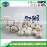 Best Price of Single Clove Garlic for Wholesale thumbnail-5