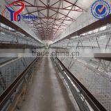 Layer Egg Chicken Cage/poultry Farm House Design thumbnail-5