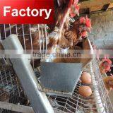 CHINA Design 20000 birds house chicken farm layer cages in zimbabwe