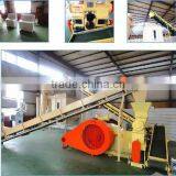 5 Ton/h Capacity Wood or Biomass Pellet Production Line Producing 8mm Diameter Pellets