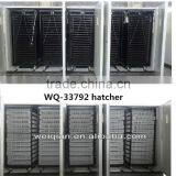 2015 Hotselling Fully Automatic Incubator Setter and Hatching thumbnail-1