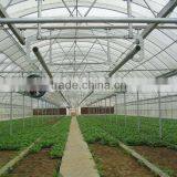 Greenhouse for Growing Vegetables thumbnail-1