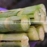 Electric Sugarcane Machine Commercial Sugarcane Juicer Sugarcane Extractor thumbnail-5