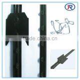 6-ft Best Price Green Metal T Post Wholesale For Sale Decorative Metal Posts thumbnail-2