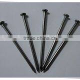 China Manufacturer Nail / Common Nail / Common Wire Nail thumbnail-5