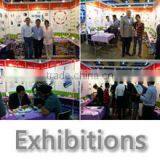 Shenzhen King Pigeon Communication Co., Ltd. company overview - view 1 thumbnail