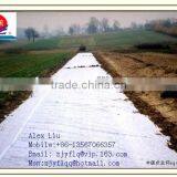 100% PP Spunbonded Non Woven Fabric Used for Agriculture Plant Cover or to Prevent the Weed and so on thumbnail-5