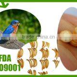 Fish Attractant Mealworm Animal Feed, Organic Bird Feed Mealworm thumbnail-1