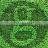 Home and Outdoor Decoration Synthetic Cheap Artificial Vertical Green Grass Wall E08 04Q59 thumbnail-3