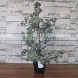 Plastic Mini Podocarpus Tree Bonsai thumbnail-3