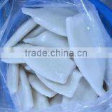 Frozen Squid Tube U5, U7, U8, U10 thumbnail-1