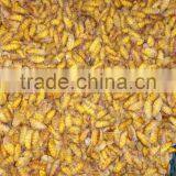 Food Of Human Frozen Silkworm Chrysalis thumbnail-2