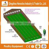 Trade Assurance Chicken Farm Project Poultry Farming Equipment for Sale thumbnail-1