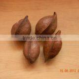 Eksira Pod thumbnail-1