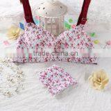 Sexy Net Designs Cheap Wholesale Nude Bra With PicturesStandard Women Sexy New Style Bra and Panty thumbnail-6