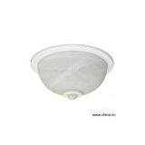 Sell Motion Sensor Ceiling Light thumbnail-1