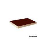 Sell Full Birch Plywood thumbnail-1