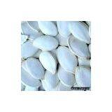 Sell Snow White Pumpkinseed thumbnail-1