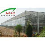 Glass Greenhouse thumbnail-3