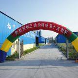 Microsilica in Shortcrete