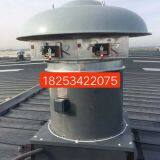 Roof Blower thumbnail-4