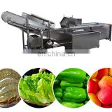 food grade stainless steel fresh fruit washer machine/fresh root vegetables washing machine
