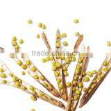 Organic Green Mung Bean thumbnail-1