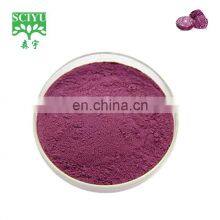 Free Sample Food Additives Organic10:1 Purple Cabbage Extract thumbnail-3