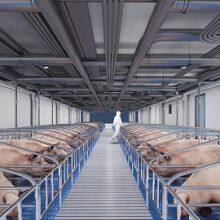 Steel Structure Cow/Sheep/Horse Shed Prefab Steel Farm Building Horse Barn Cow House Design thumbnail-4