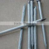 Galvanized Steel Concrete Nail