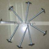 Roofing Nail