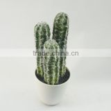 potted artificial plants cactus bonsai/artificial plant wholesale China supplier for home or office decoration