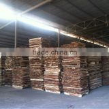 Acacia wood sawn timber for pallet or finger joint
