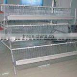 Wholesale Galvanized Layer Chicken Cages/Battery Cage thumbnail-3