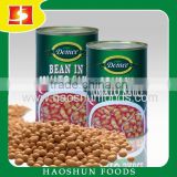 Canned Soybean in Tomato Sauce