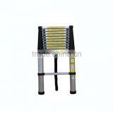 Telescopic Ladder With EN131