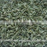 Fennel Seeds Green Colour