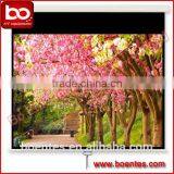 Wall Mounted Matte White Manual Projection Screen With Self-locking for Office Equipment thumbnail-6