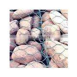 Hexagonal Gabion Box