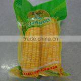 High Quality Sweet Corn Cob in Vacuum Wholesale Snack Foods thumbnail-4
