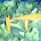 Health Food Halal Food Quick Frozen Broccoli thumbnail-1