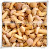 Frozen Nameko thumbnail-2