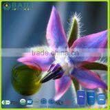 Good Price Organic Refined Borage Oil Bulk China thumbnail-1