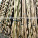 Bamboo Using for Agriculture thumbnail-3