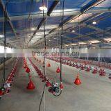 Light Steel Chicken House thumbnail-6